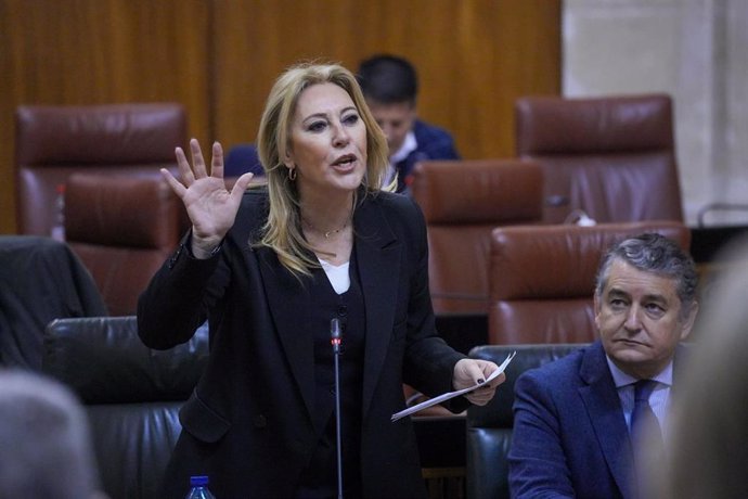 La consejera de Economía, Hacienda y Fondos Europeos, Carolina España, en el Pleno del Parlamento de Andalucía