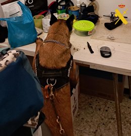 Vídeo de la noticia