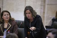 PSOE-A recurre al lema "no te creo" para afear las listas de espera y la Atención Temprana y Salud defiende su gestión