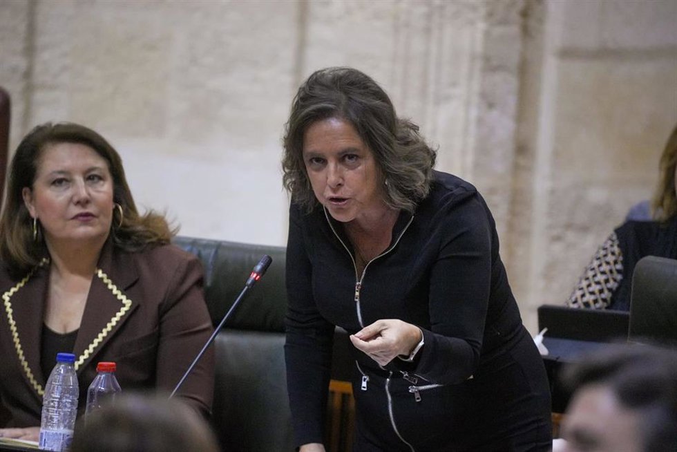 La consejera de Salud y Consumo, Catalina García, en la sesión parlamentaria del 7 de marzo de 2024.