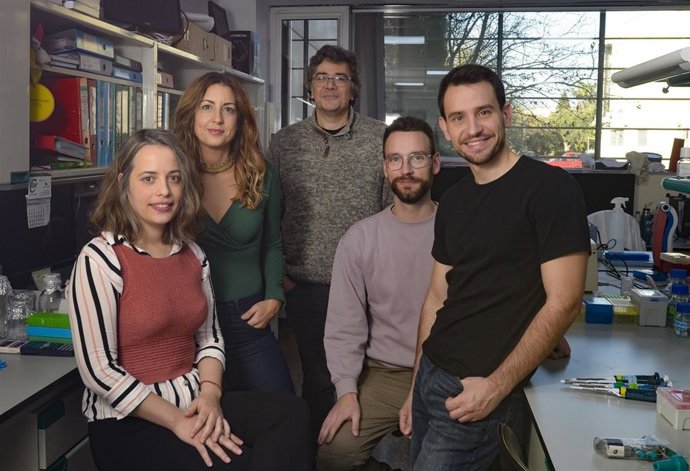 Archivo - Los investigadores del laboratorio Mecanismos transcripcionales y epigenéticos de la plasticidad neuronal del IN. De izquierda a derecha, Carina Racovac Farinha, Beatriz del Blanco Pablos, Ángel Barco Guerrero, Juan Paraíso Luna y Sergio Niñerol