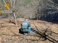 Investigado en Ávila por un incendio forestal provocado con un acelerante