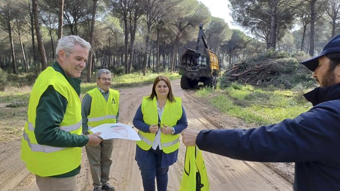 La Junta culmina los trabajos de aprovechamiento en el Monte Público de 'El Colmenar' en Aznalcázar (Sevilla).