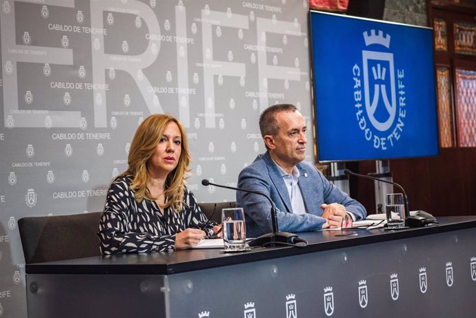 La presidenta del Cabildo de Tenerife, Rosa Dávila, y el consejero de Planificación Estratégica, José Miguel Ruano, en una rueda de prensa para informar sobre el proyecto del tren del sur