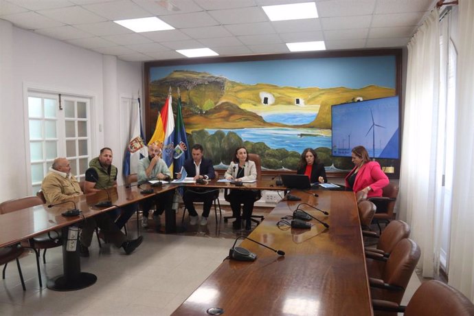 La alcaldesa de Arico, Olivia Delgado (c), en una rueda de prensa para informar sobre las alegaciones contra la construcción de un parque eólico marino