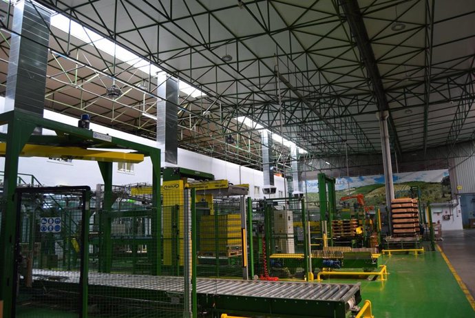 Archivo - Fábrica de envasado de aceite de oliva de Dos Hermanas (Sevilla). Imagen de archivo.