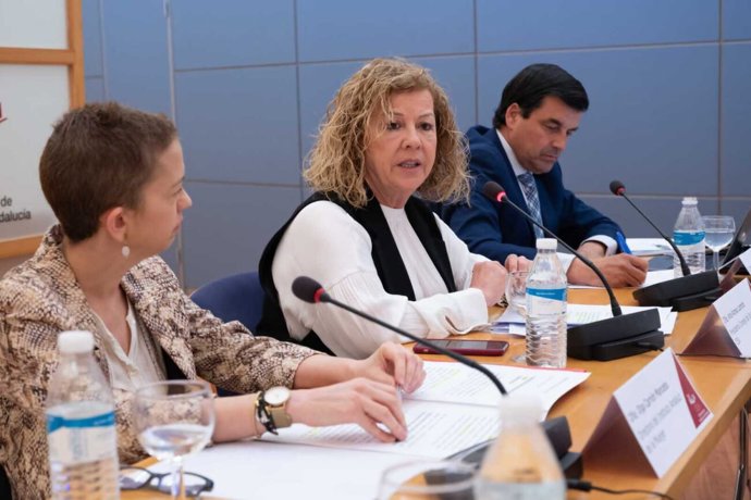 La presidenta del Consejo de Igualdad de la Confederación de Empresarios de Andalucía (CEA) y de la Federación Andaluza de Mujeres Empresarias (FAME), Ana Alonso