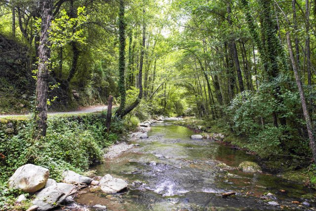 Parque Natural de la Garrotxa en Beget, Girona