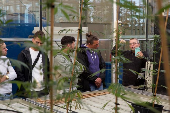 La UA imparte un curso sobre la cadena de valor de la industria del cannabis y sus aplicaciones en salud