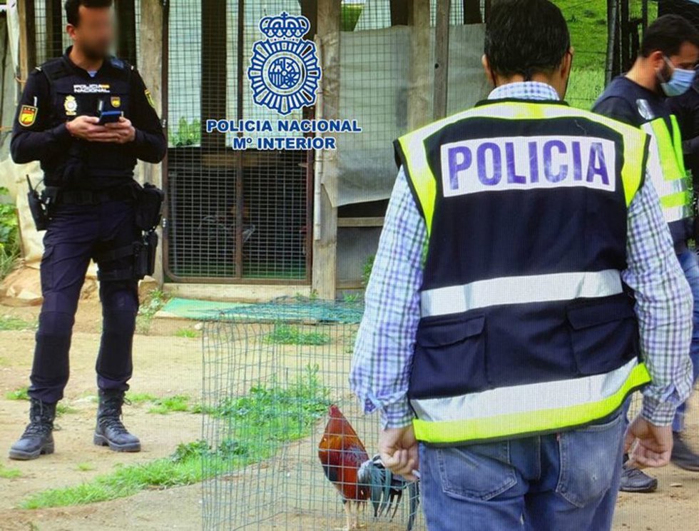 Imagen distribuida por la Policía Nacional referida a la operación Gladiador