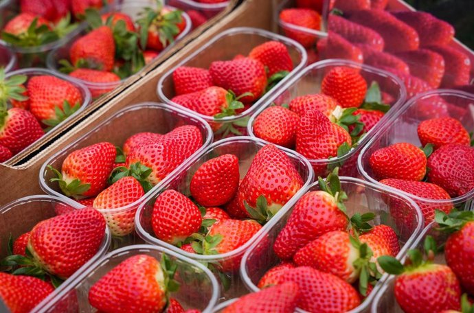 Fresas de Huelva.