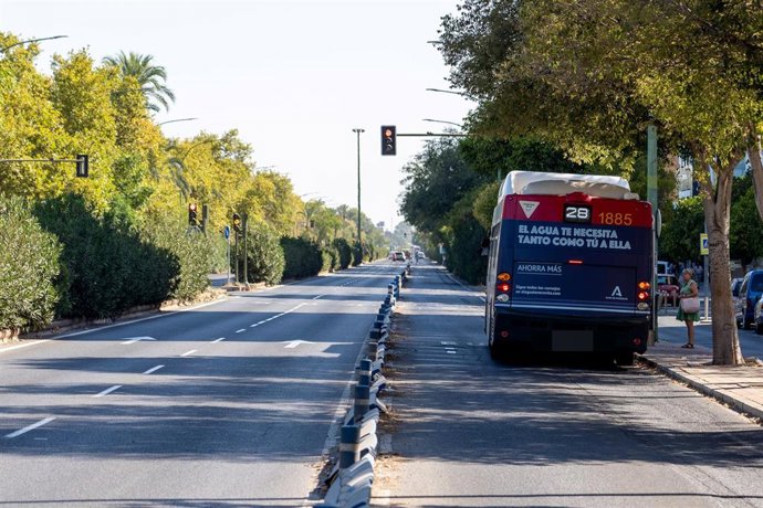 Archivo - Autobús de Tussam (Sevilla). Imagen de archivo.
