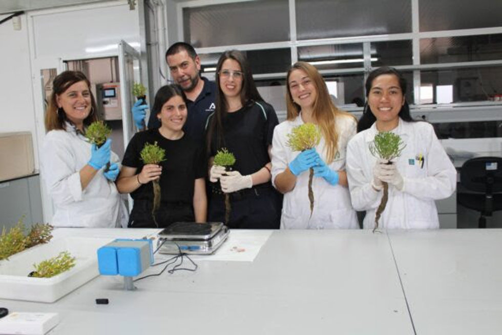 Equipo investigador del Ifapa El Toruño.