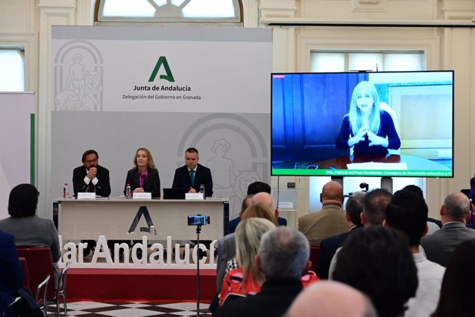 La consejera de Desarrollo Formativo y Formación Profesional de la Junta de Andalucía, Patricia del Pozo, al conocerse el dictamen del Consejo Escolar de Andalucía.