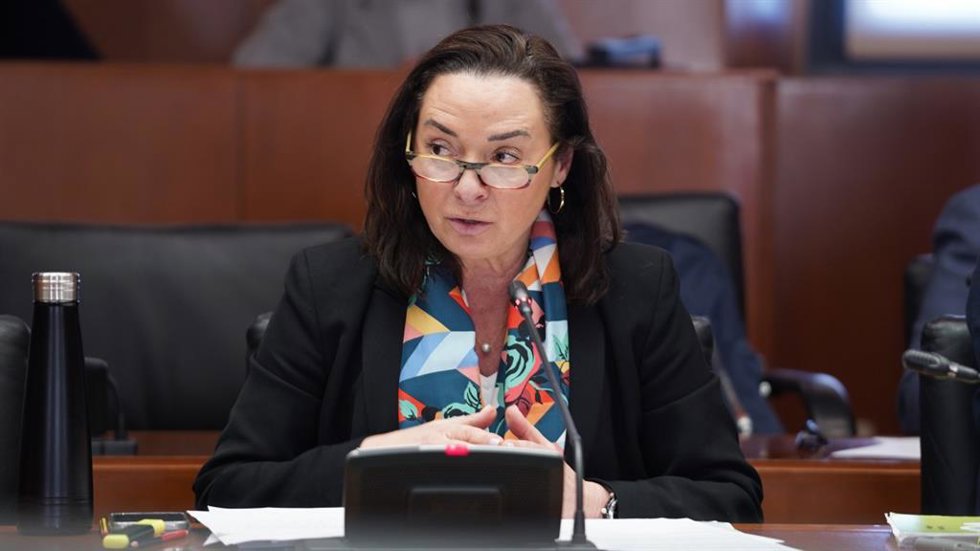 La diputada de VOX Carmen Rouco.