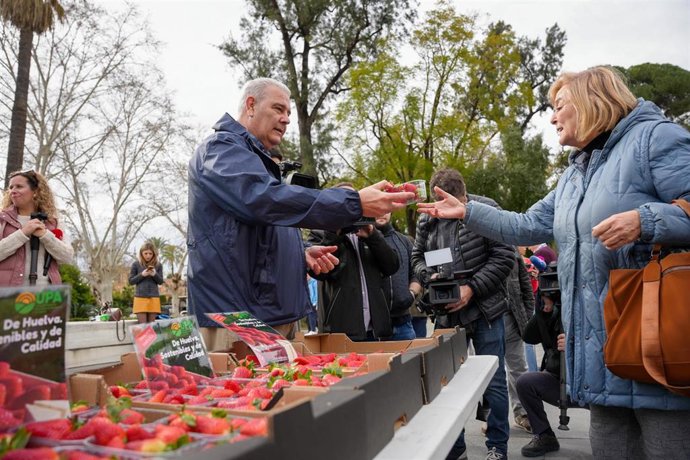 Representantes de UPA reparten fresas de Huelva a los viandantes en Sevilla