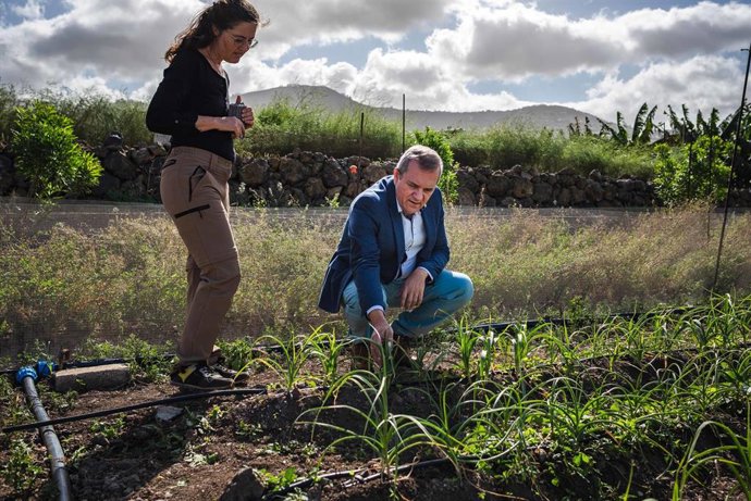 El Cabildo de Tenerife, en colaboración con el Instituto Canario de Investigaciones Agrarias (ICIA), está desarrollando un proyecto de control de plagas con flora autóctona.