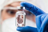 Foto: Una nuevo tipo de nanopartícula logra que las vacunas sean más potentes