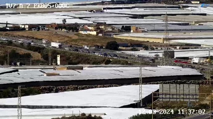 Caravana agrícola a su paso por la A-7 en dirección a Almería desde El Ejido.