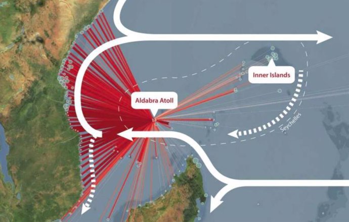 Mapa del suroeste del Océano Índico, con líneas rojas que conectan el atolón de Aldabra, Seychelles, con destinos simulados de larvas de coral río abajo, principalmente en África Oriental.