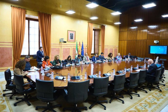 Comisión de Salud y Consumo sobre el proyecto de ley de creación del Instituto de Salud de Andalucía