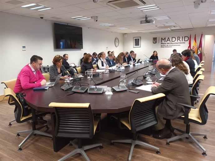 Comisión de Cultura, Turismo y Deporte del Ayuntamiento de Madrid (Madrid, 12 de marzo de 2024).