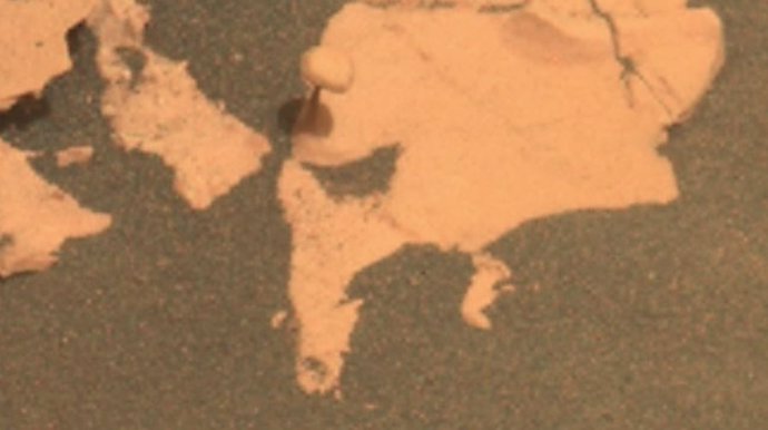 Imagen del 'hongo' encontrado en Marte
