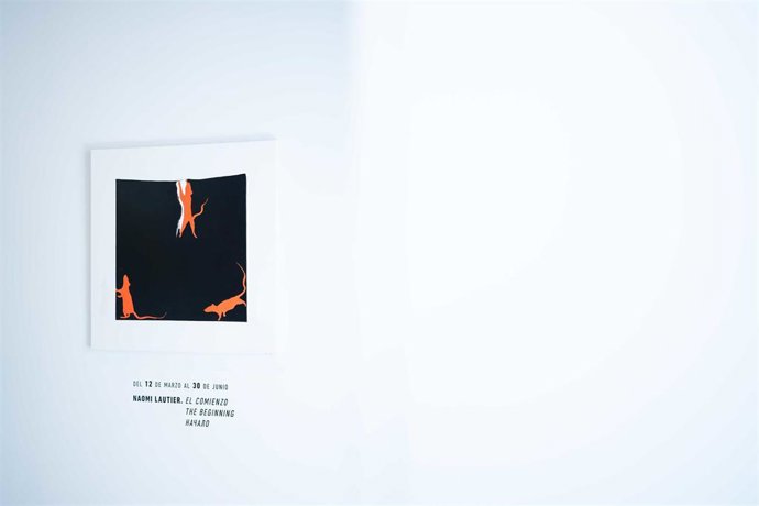 La Colección del Museo Ruso de Málaga acoge la exposición 'Naomi Lautier. El comienzo'