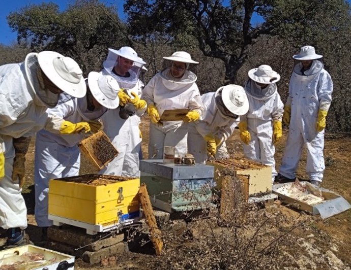 La apicultura, uno de los campos en los que la Diputación ofrece formación.