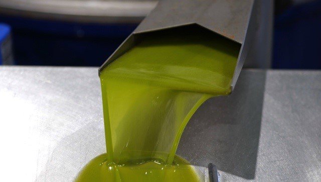 Archivo - Producción de aceite de oliva.