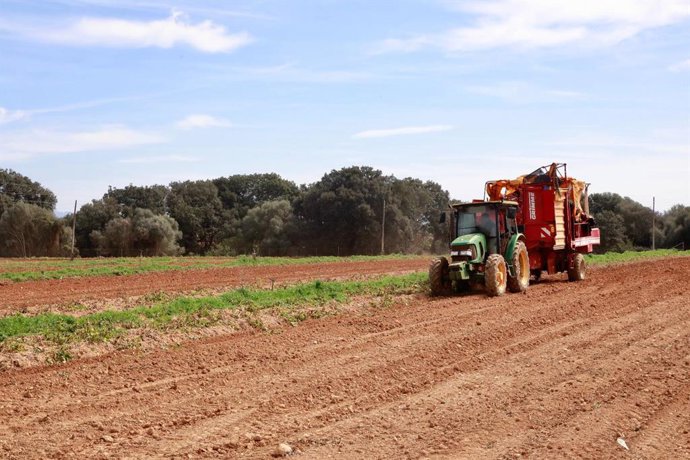 Agricultor de Mallorca, en una imagen de archivo.