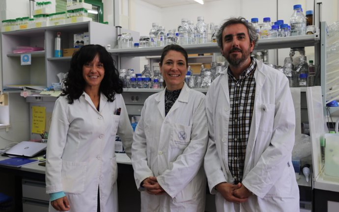 De izquierda a derecha, las investigadoras María Jesús Torres, Alexandra Dubini y el investigador David González, autores del trabajo.