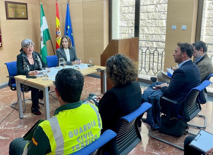 La subdelegada del Gobierno en Cádiz, Blanca Flores, preside una reunión técnica sobre las obras del puente Carranza de Cádiz.