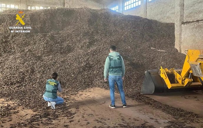 Agentes de la Guardia Civil con los productos intervenidos