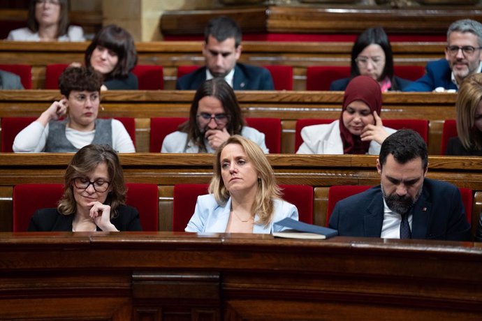 La consellera d'Economia de la Generalitat, Natàlia Mas, en el ple del Parlament