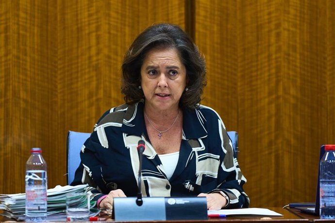 La consejera de Salud y Consumo, Catalina García, en la comisión parlamentaria del 13 de marzo de 2024.