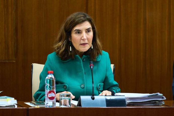 La consejera de Empleo, Empresa y Trabajo Autónomo, Rocío Blanco, en el Parlamento andaluz.