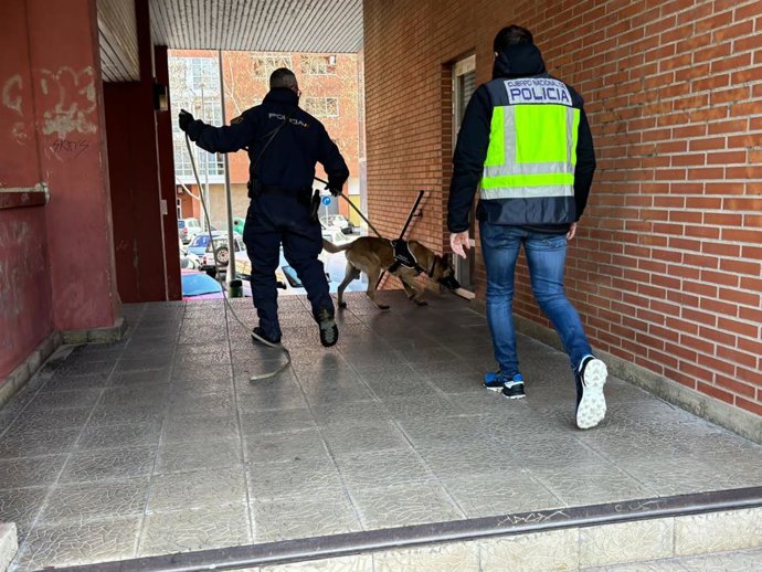 Búsqueda de Javier Márquez con la Unidad de Guías Caninos y agentes de la Policía Judicial