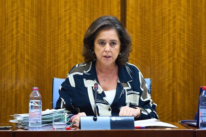 La consejera de Salud y Consumo, Catalina García, en la comisión parlamentaria del 13 de marzo de 2024.