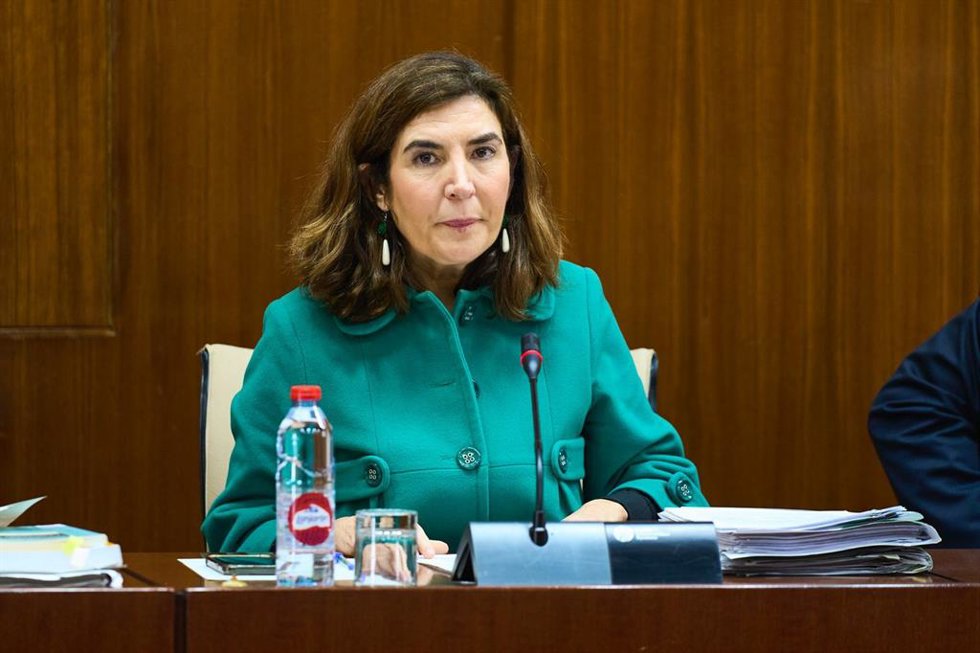 La consejera de Empleo, Empresa y Trabajo Autónomo, Rocío Blanco, en el Parlamento.