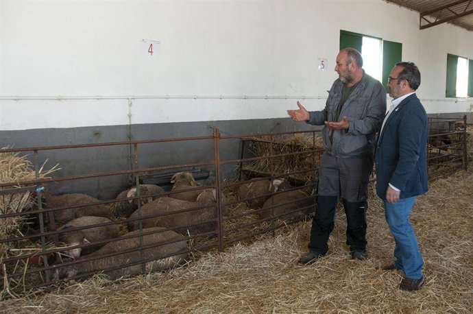 El presidente de la Diputación de Cáceres, Miguel Ángel Morales, asiste a la adjudicación de ganador Merino Precoz a ganaderías de la provincia