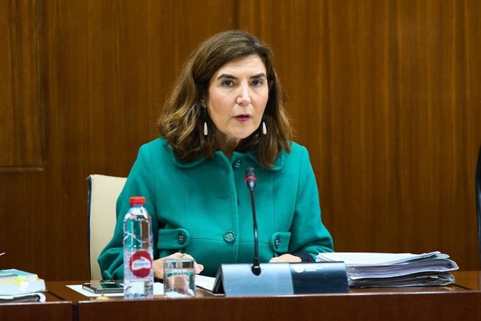 La consejera de Empleo, Empresa y Trabajo Autónomo, Rocío Blanco, en la comisión parlamentaria del 13 de marzo de 2024.