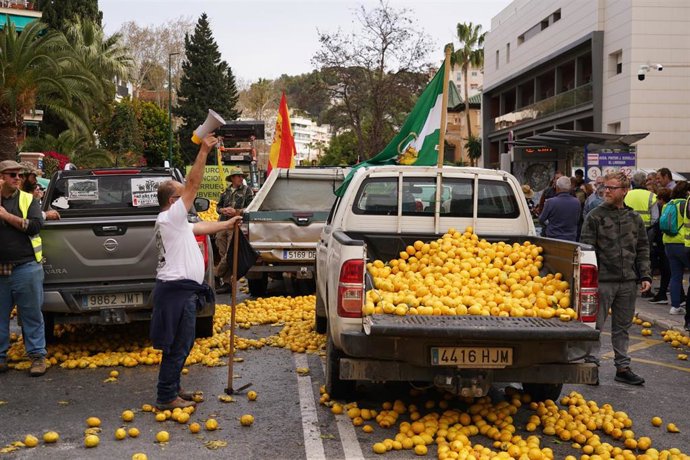 Agricultores arrojan limones en la puerta de la Subdelegación del Gobierno de Málaga, a 13 de marzo de 2024, en Málaga, Andalucía (España). Agricultores de toda la provincia se manifiestan en las puertas de la  Subdelegación del Gobierno en Málaga.