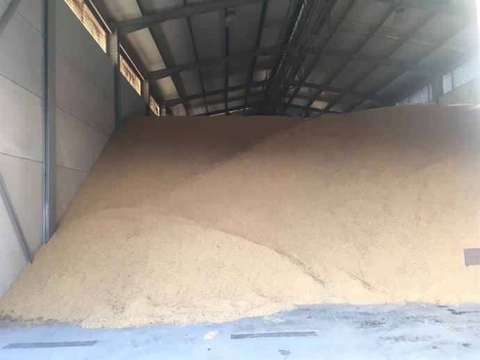 Arrs valenci en magatzem