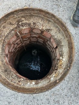 Vídeo de la noticia