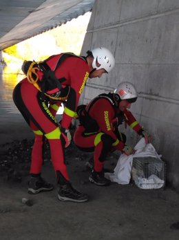 Bomberos del 112 rescatan un gato de una pilastra del viaducto de Colindres