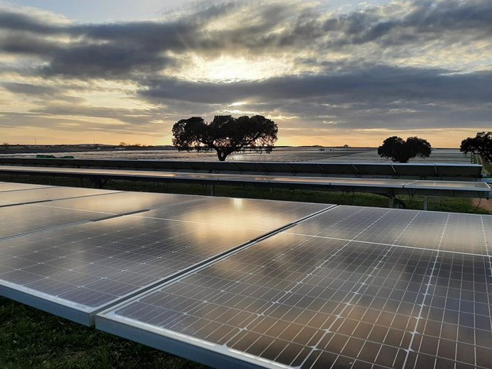 Paneles fotovoltaicos de Iberdrola