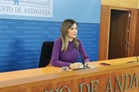 PSOE-A avisa que "llegará donde haga falta" para investigar contratos de la Junta pese al rechazo del PP-A a su comisión