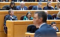 El PP saca adelante en el Senado una iniciativa de rechazo a la ausencia de ministros en la toma de posesión de Milei