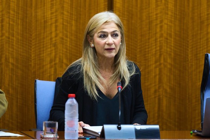 La consejera de Desarrollo Formativo y Formación Profesional, Patricia del Pozo, en la comisión parlamentaria.